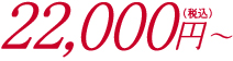 22,000円〜